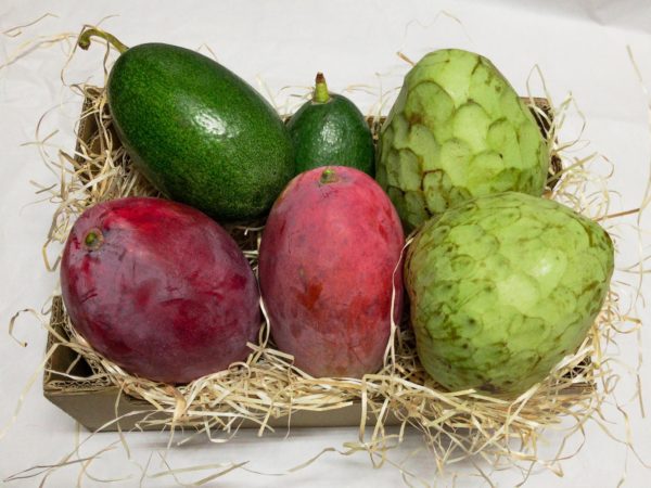 Caja Mixta 6KG. Llamar por teléfono (Sin Mangos)