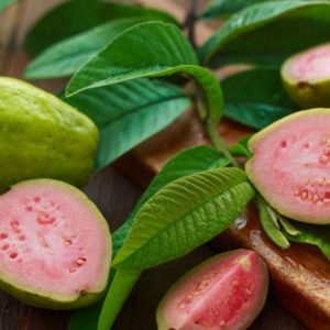 Guayaba Caja 4KG. Llamar por teléfono