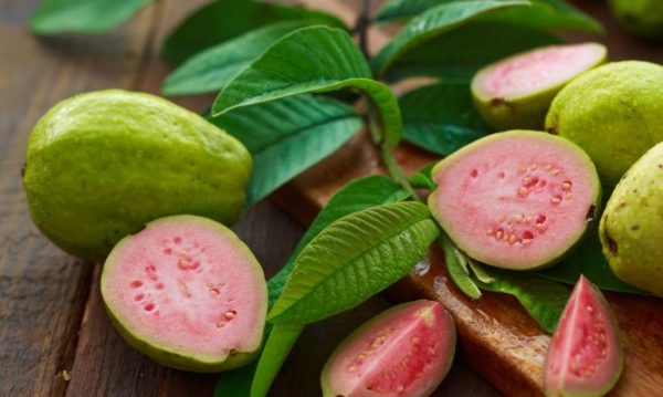 Guayaba Caja 4KG. Llamar por teléfono