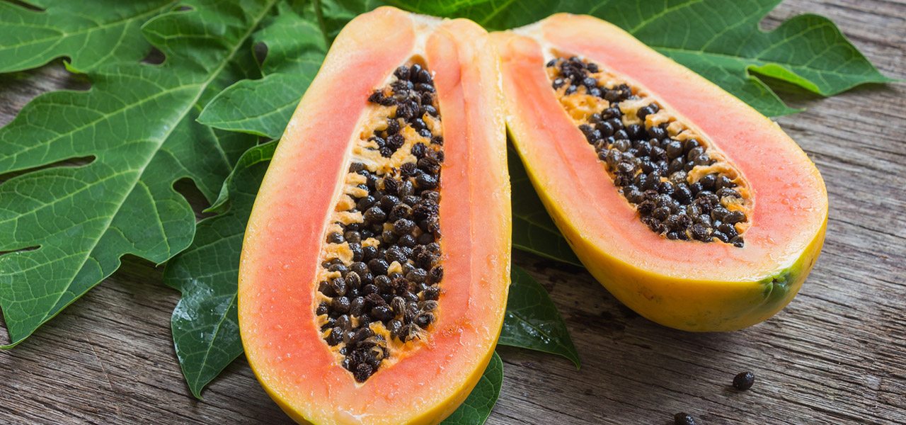 Papaya